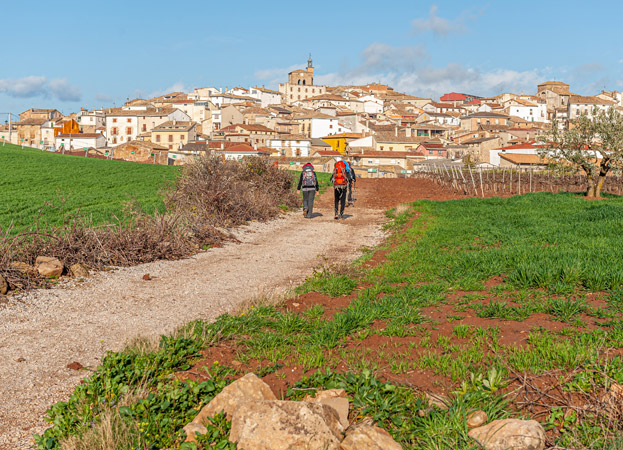Camino de Santiago: De Oporto a Santiago