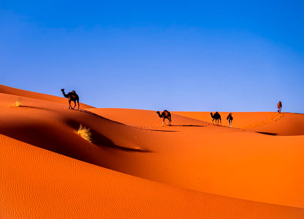 Marruecos, El gran Desierto