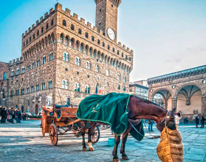 Venecia, Florencia y Roma