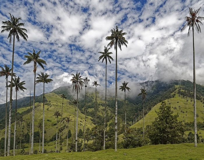 Bienvenido a Colombia