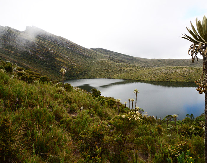 Parque Nacional Natural Chingaza