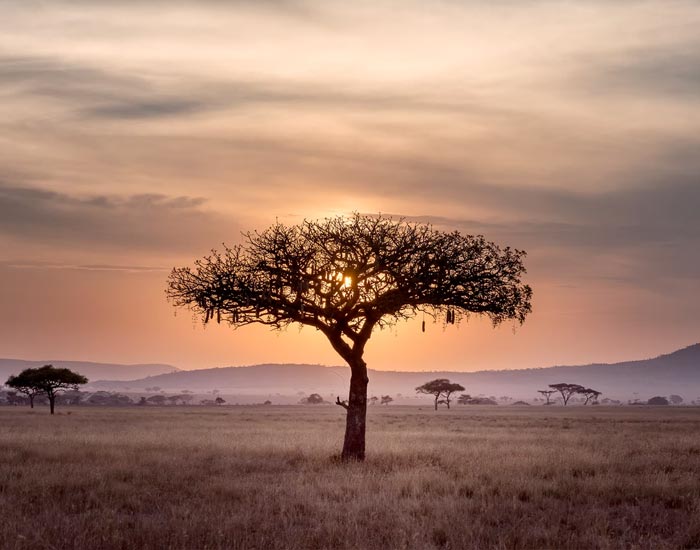 Kenia, Tanzania y Estambul